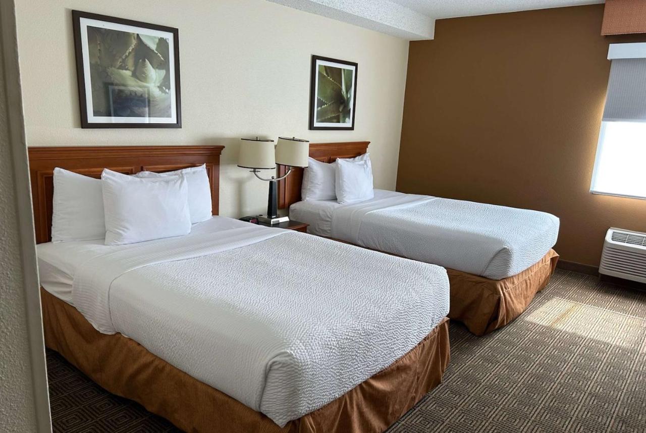 La Quinta By Wyndham Orlando South Hotel Williamsburg Exterior foto
